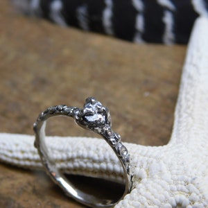 May include: A silver ring with a textured, organic design. The ring is set against a white starfish background.