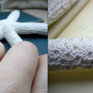 May include: A silver ring with a textured design, featuring small, round stones. The ring is displayed on a white, textured surface.