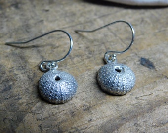 May include: A pair of silver earrings shaped like sea urchins. The earrings are hanging from silver hooks.