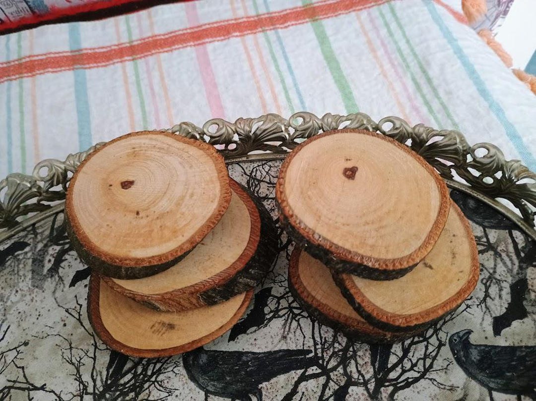 Live Edge Tree Rings 6 Genuine Pecan Hardwood Live Edge Tree Wood Slices Wedding Decor ...