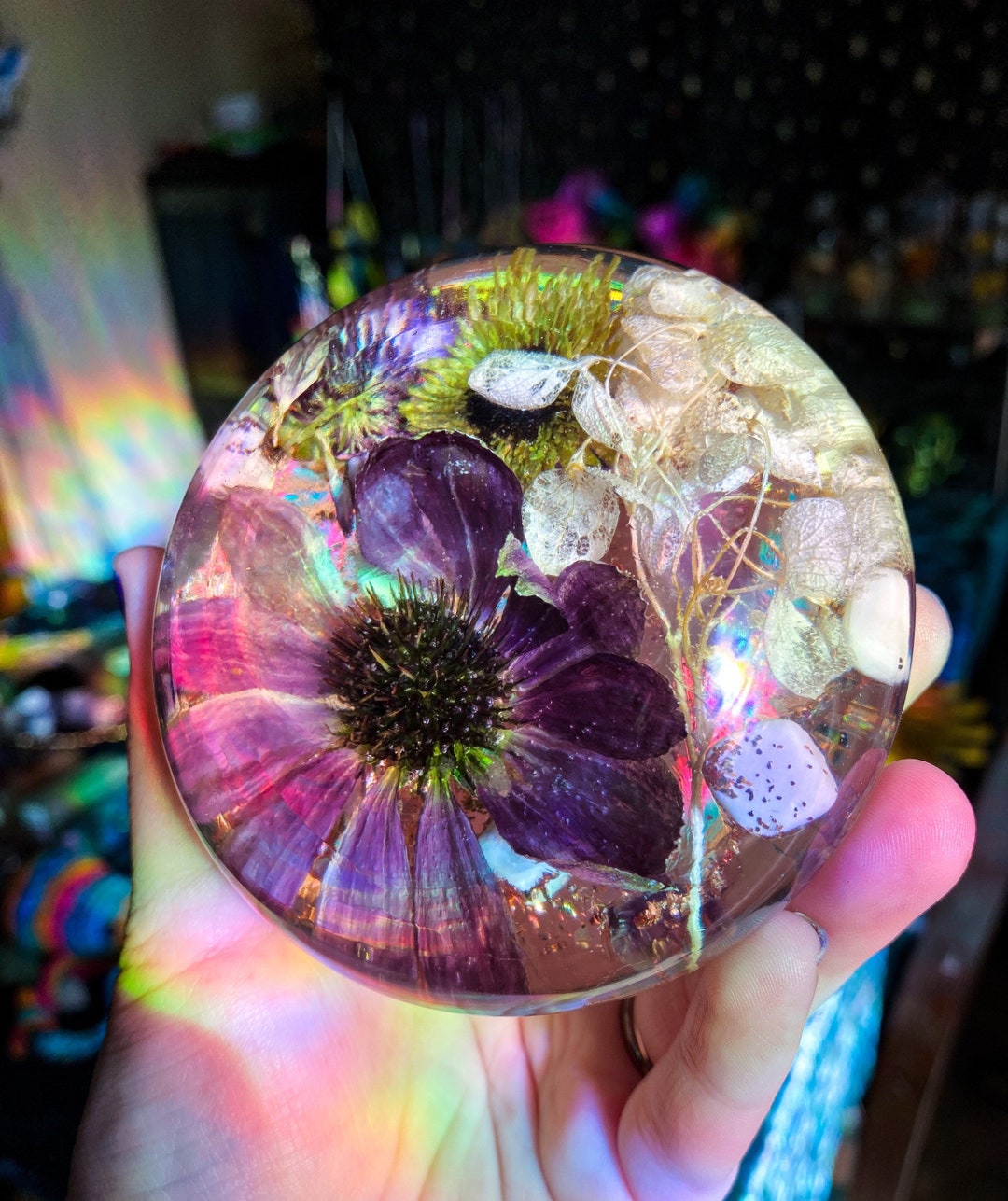 Resin Flower Preserved Flowers Floral Round Paperweight Cone Etsy