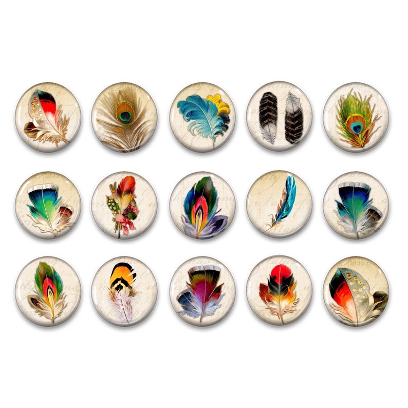 Feather Magnets Peacock Feathers Party Favors Cubicle Etsy