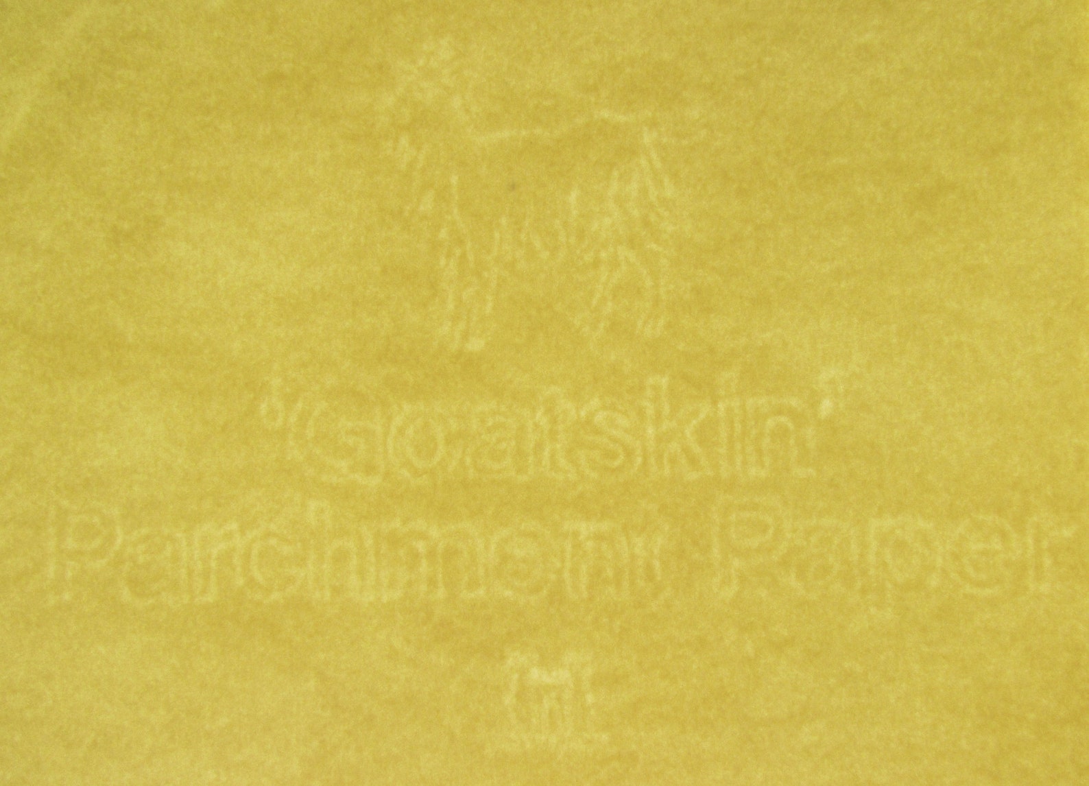 10 Sheets A4 Goatskin© Parchment Paper Premium 160gsm Etsy
