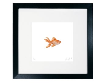 Goldfish Print - Perfect for a bathroom - Limited Edition Print