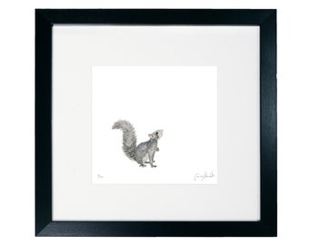 Squirrel Print - Animal Collection - Framed Limited Edition Print