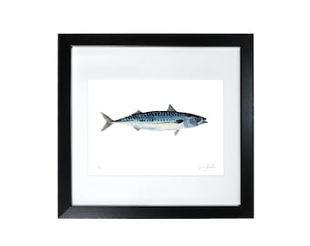 Mackerel Print: Limited Edition Fish Illustration, Nautical Wall Art