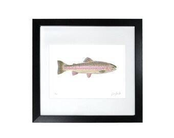 Rainbow Trout Framed Print - Perfect for the Kitchen or Bathroom - Fish - Limited Edition Fine Art Print