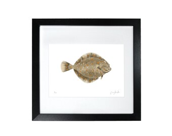 Plaice Print - Perfect for the Kitchen or Bathroom - Fish - Limited Edition Fine Art Print