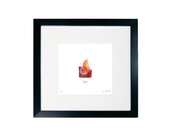 Negroni Cocktail Print - Cocktail Collection - Framed Limited Edition Print