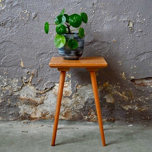 Può includere: Un tavolino in legno con tre gambe angolate sostiene una pianta in vaso. La pianta ha foglie rotonde e verdi ed è in un vaso di ceramica a righe blu e grigie. Lo sfondo è un muro grigio strutturato.