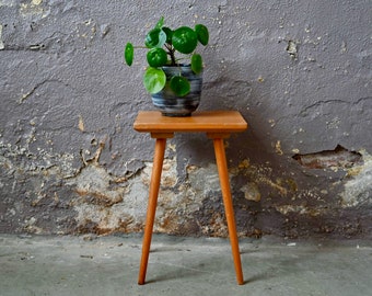 Suporte para plantas de madeira mesa de console mesa lateral bússola pés country chique boho antigo