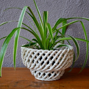 May include: A green spider plant in a white woven rope planter. The planter is round and has a woven pattern.