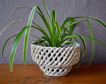 May include: A green spider plant in a white woven rope planter. The planter is round and has a woven pattern.