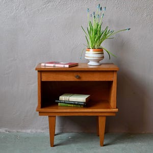 Può includere: Un comodino in legno con un cassetto e un ripiano aperto. Un piccolo vaso con una pianta è posto sopra, insieme a un libro. Due libri sono sul ripiano sottostante. Il comodino è in legno marrone chiaro.