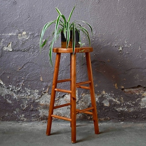 May include: A wooden stool with four legs and a rectangular seat. The stool is painted a dark brown colour and has a plant in a pot on top of it. The plant has long, green leaves and is in a brown pot.