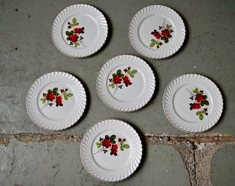 Flat plates with old flowers Nathalie service pottery Keller and Guerin (K&G) from Lunéville set of 6 boho and country chic style