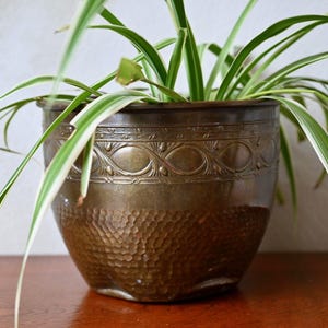 Puede incluir: Una planta araña verde y blanca en una maceta de metal marrón con un diseño en relieve. La maceta tiene una textura martillada.