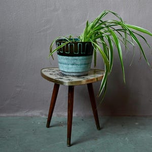 Può includere: Un piccolo portavaso in stile retrò con piano triangolare e tre gambe in legno. Sostiene un vaso in ceramica blu e marrone con una pianta verde. Le lunghe foglie della pianta ricadono sui lati.