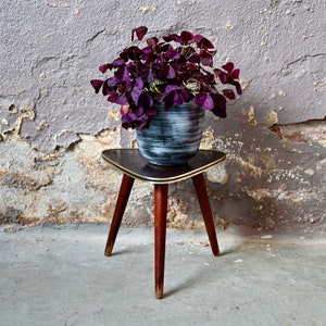 Puede incluir: Una planta de color morado oscuro en una maceta gris se encuentra sobre una mesa auxiliar de madera triangular con ribete dorado. La mesa tiene tres patas y está frente a una pared gris texturizada.