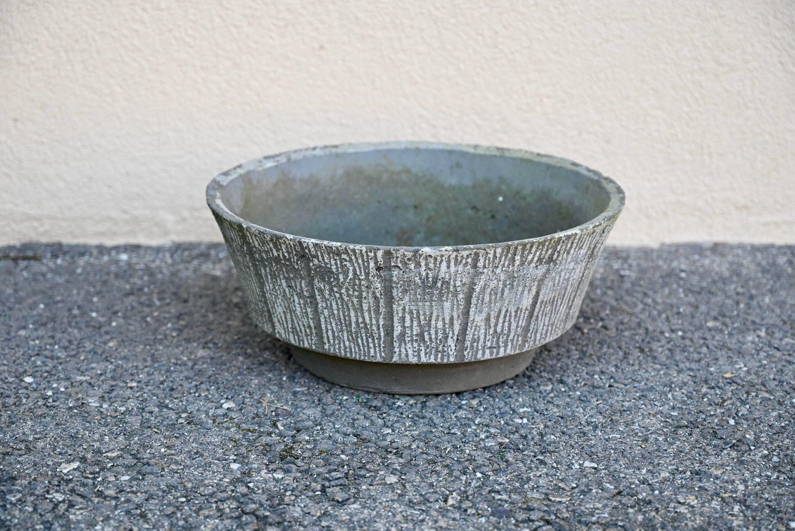 Jardinière En Béton Bellis Perennis Vasque Pot De Fleur Design Jardin Brutaliste Vintage Esprit Wabi Sabi À Fleurs