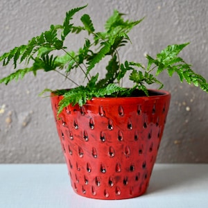 May include: A bright red ceramic plant pot with a glossy finish, containing a vibrant green fern. The pot features a distinctive design with teardrop-shaped cutouts. The plant pot is a decorative item for home decor.