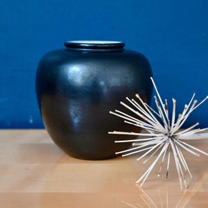 May include: A dark, matte black ceramic vase with a white rim sits on a wooden surface. A decorative, dried plant with white, spiky elements is next to the vase. The background is a solid, deep blue.