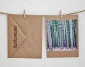 Blank Nature Travel Photography Greeting Card- Brown Kraft Card with Brown Kraft Envelope- Pine Tree Print, England "In The Pines"