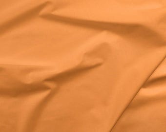 Butterscotch - PBStudios Painters Palette (Quarter Yards)