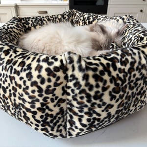 May include: A hexagonal pet bed featuring a leopard print design. The bed has a soft, cream-coloured interior, providing a comfortable space. A light-coloured cat is curled up asleep inside the bed.