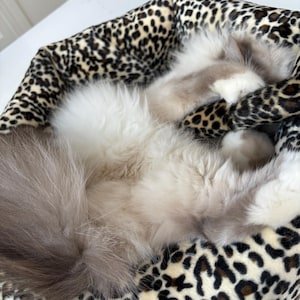 May include: A fluffy cat rests in a leopard print pet bed. The cat has light gray and white fur, with a long, fluffy tail. The bed has a soft, plush appearance, with a brown and black spotted pattern.