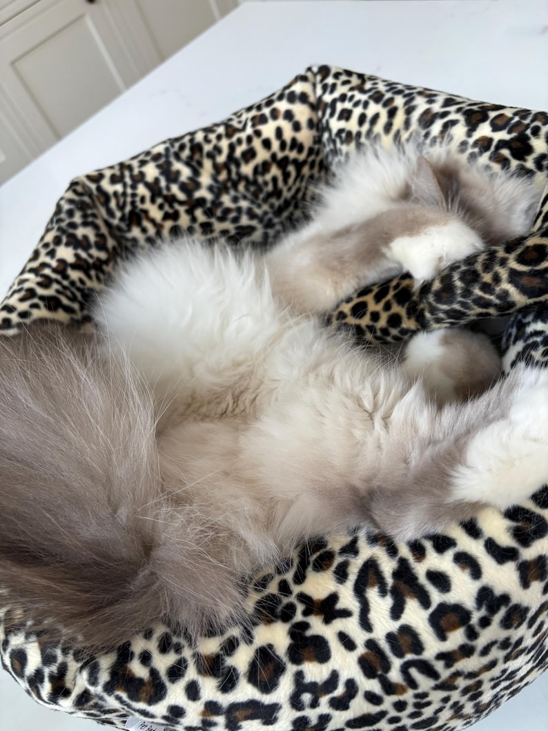 May include: A fluffy cat rests in a leopard print pet bed. The cat has light gray and white fur, with a long, fluffy tail. The bed has a soft, plush appearance, with a brown and black spotted pattern.
