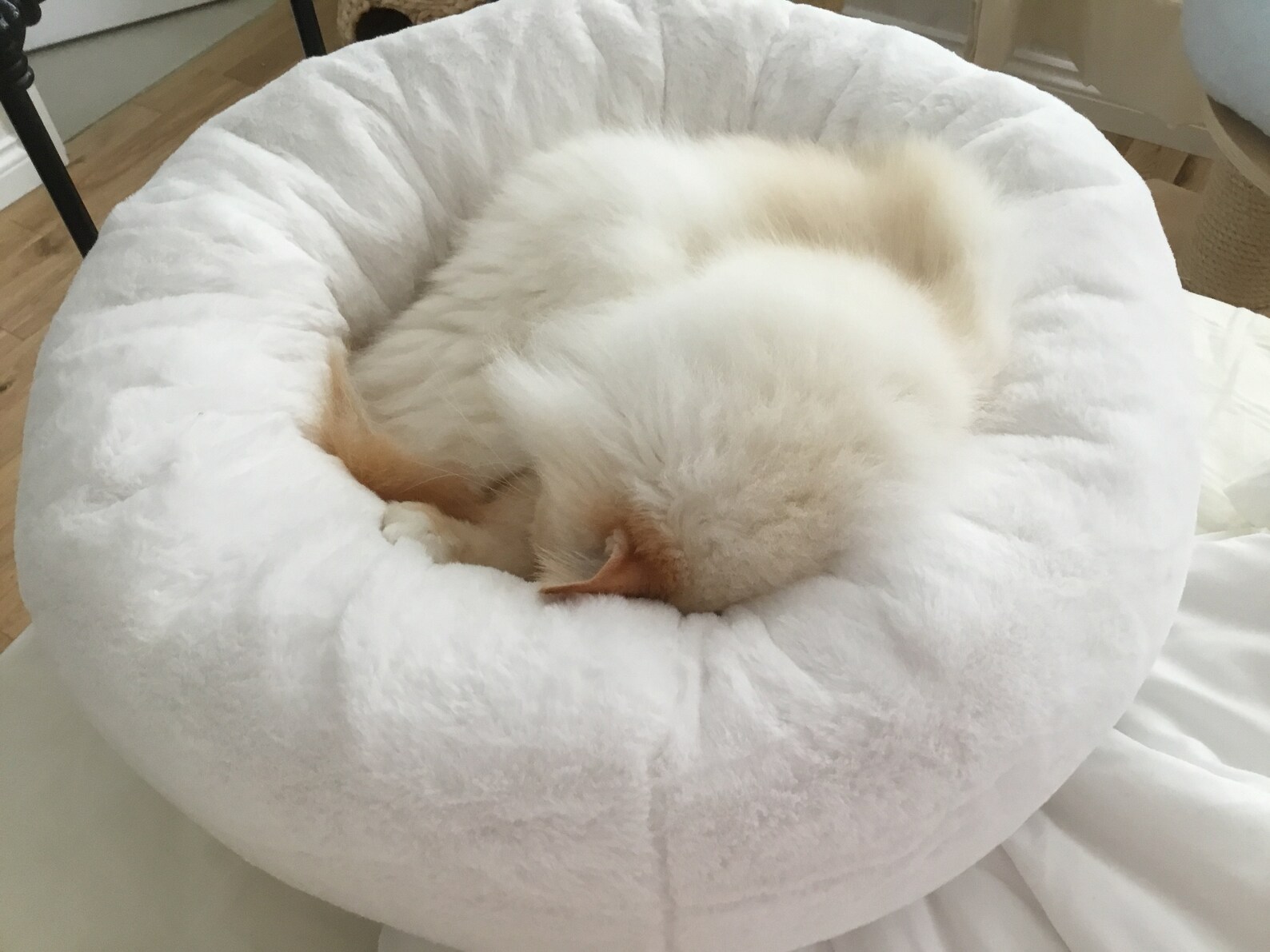 Luxury Deep Donut Style Snuggle Soft Cat Bed Small Dog Bed Etsy UK