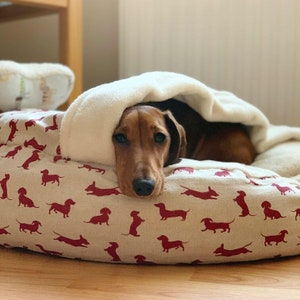 May include: A brown and black dachshund dog is curled up in a beige dog bed with a white fleece blanket. The bed is covered in a pattern of red dachshund silhouettes.