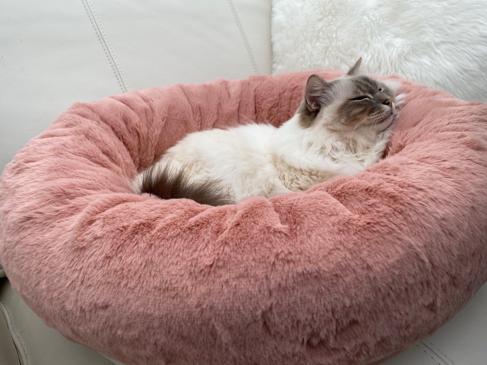 Luxury Deep Donut Style Snuggle Soft Cat Bed Small Dog Bed Etsy UK