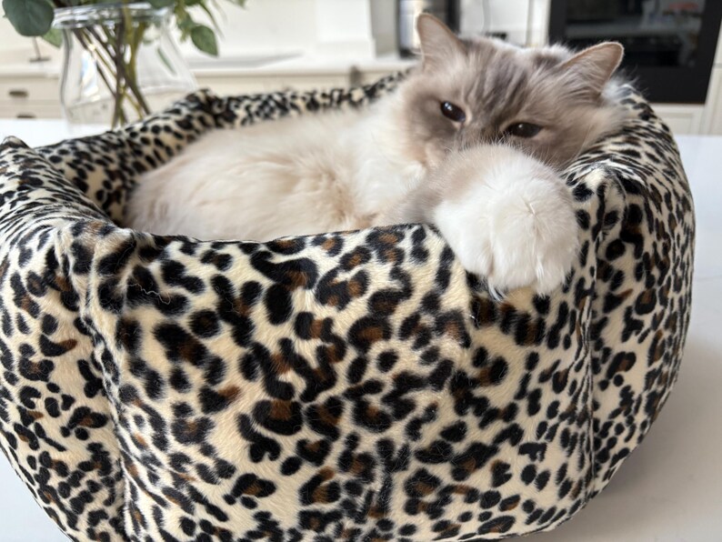May include: A fluffy cat rests in a round pet bed. The bed has a leopard print pattern in shades of brown and cream. The cat has light-colored fur and is partially visible, with its paw resting on the bed's edge.