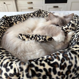 May include: A fluffy cat rests in a leopard print pet bed. The bed has a soft, plush interior and a patterned exterior. The cat is light-colored with a darker face and paws, curled up inside the bed.