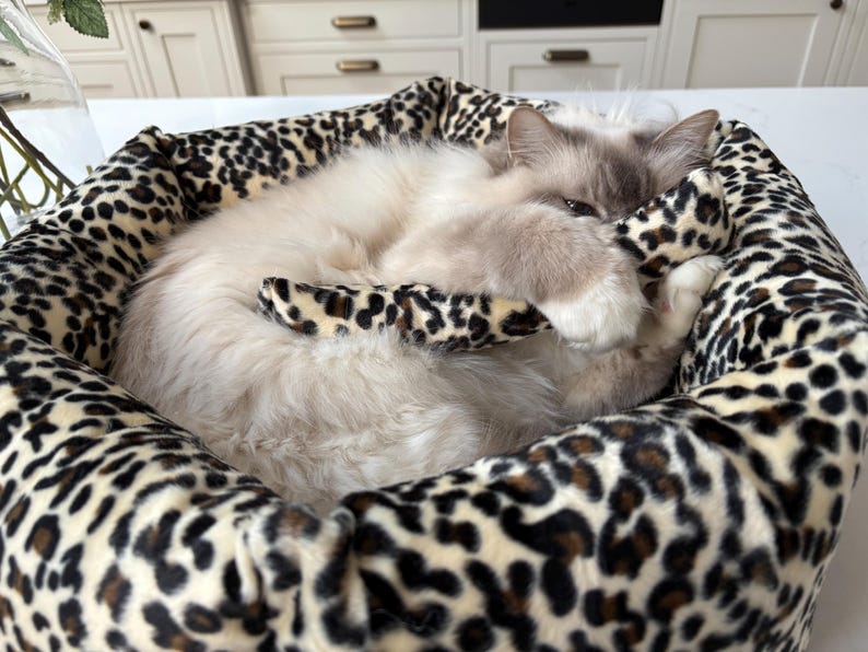 May include: A fluffy cat rests in a leopard print pet bed. The bed has a soft, plush interior and a patterned exterior. The cat is light-colored with a darker face and paws, curled up inside the bed.