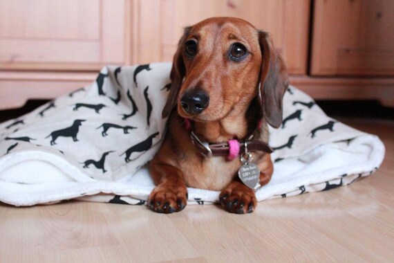 dachshund snuggle sack