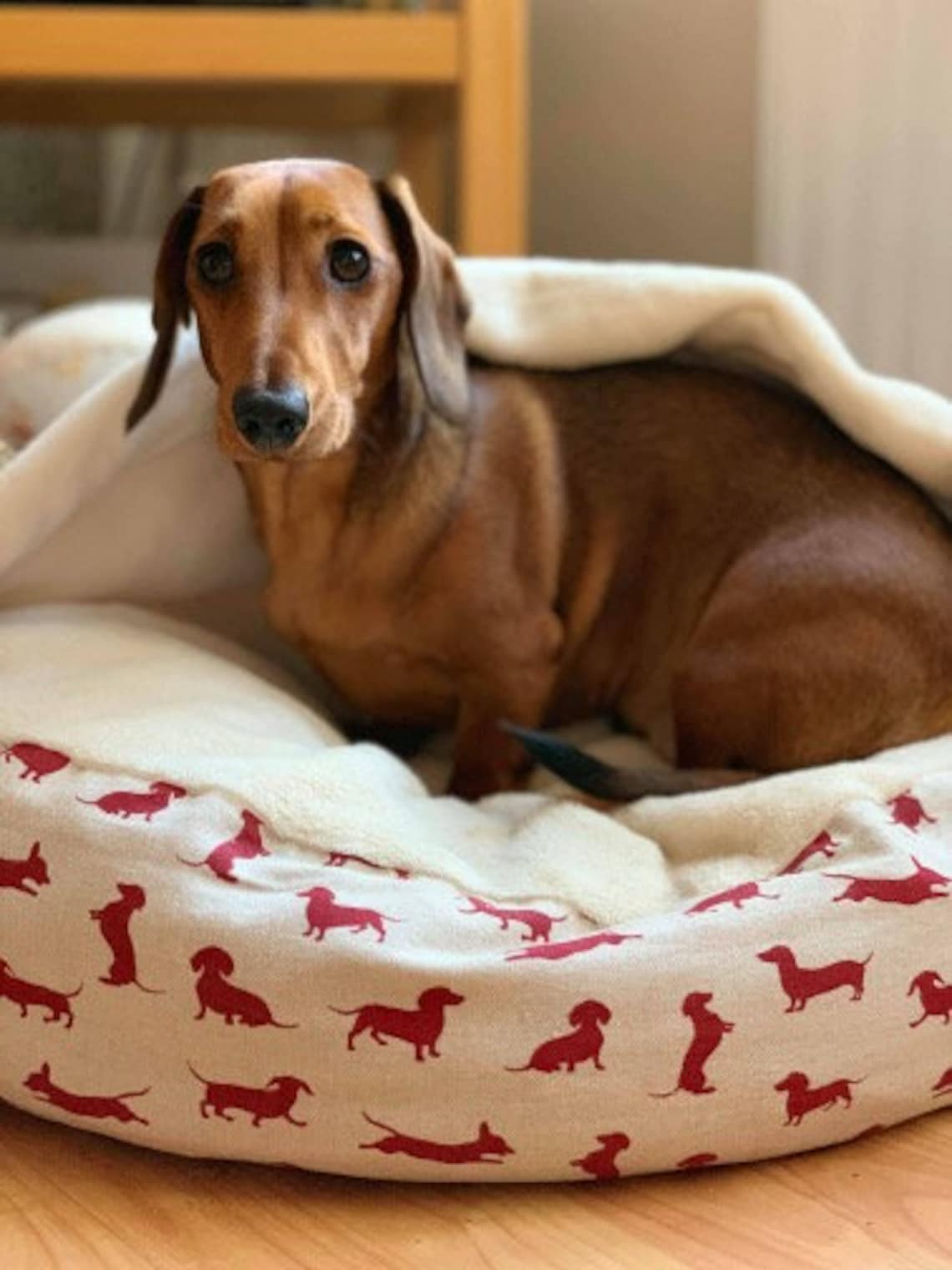 Luxury Cave Bed Snuggle Top Bed Dachshund Bed Dog Bed Etsy UK