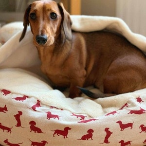 May include: A brown and tan dachshund dog laying in a white dog bed with a red dachshund print.