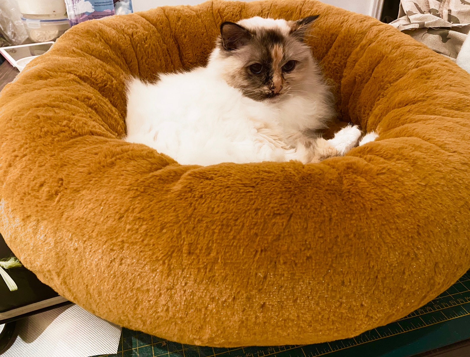 Luxury Deep Donut Style Snuggle Soft Cat Bed Small Dog Bed Etsy UK