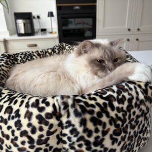 May include: A fluffy, light-colored cat rests in a leopard-print pet bed. The cat has blue-grey fur around its face and paws. The bed is round and has a soft, plush appearance, providing a cozy space for the feline.