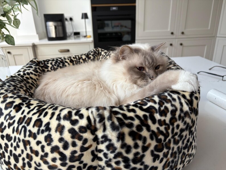 May include: A fluffy, light-colored cat rests in a leopard-print pet bed. The cat has blue-grey fur around its face and paws. The bed is round and has a soft, plush appearance, providing a cozy space for the feline.
