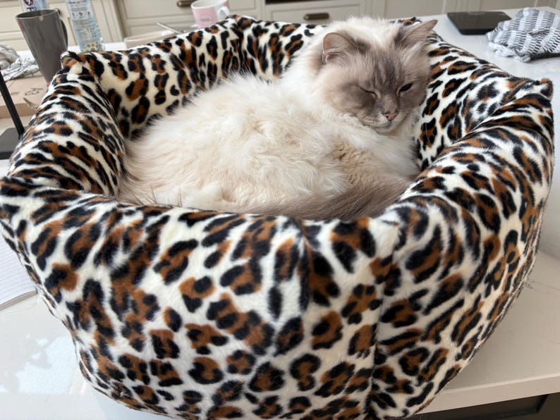 Leopard Print High Sided Cat Bed with Catnip Toy snow leopard