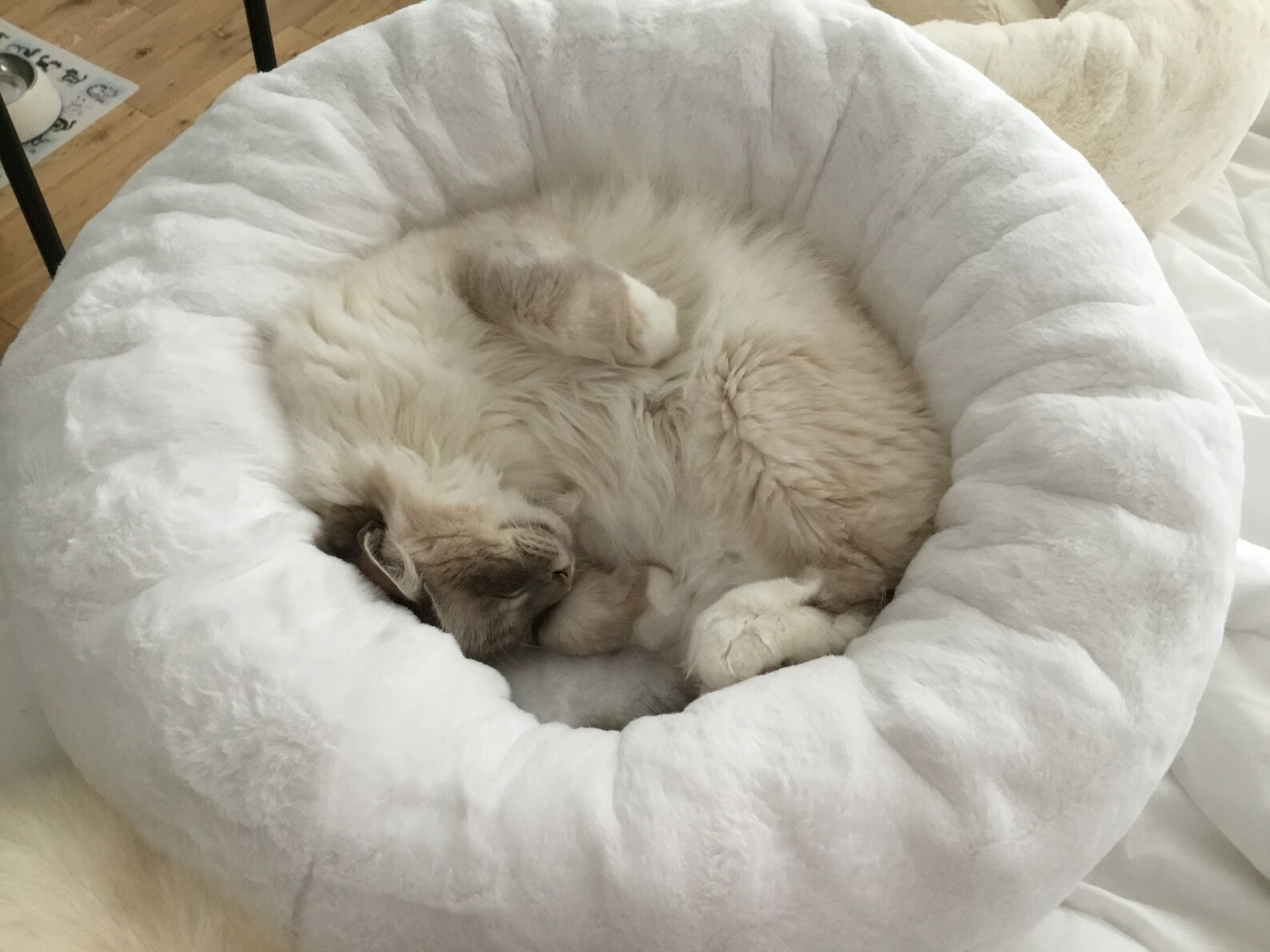 Luxury Deep Donut Style Snuggle Soft Cat Bed Small Dog Bed Etsy UK