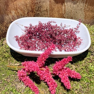 May include: A white ceramic dish filled with dried pink flowers.  Pink flowers are also scattered on the green moss ground.