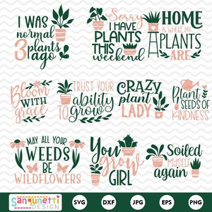 Kamerplanten SVG & clipart, vetplanten en cactusbundel
