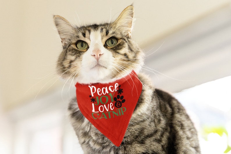 May include: A tabby cat wearing a red bandana with the text "Peace Joy Love & Catnip" in green and black lettering. The cat is looking directly at the camera.