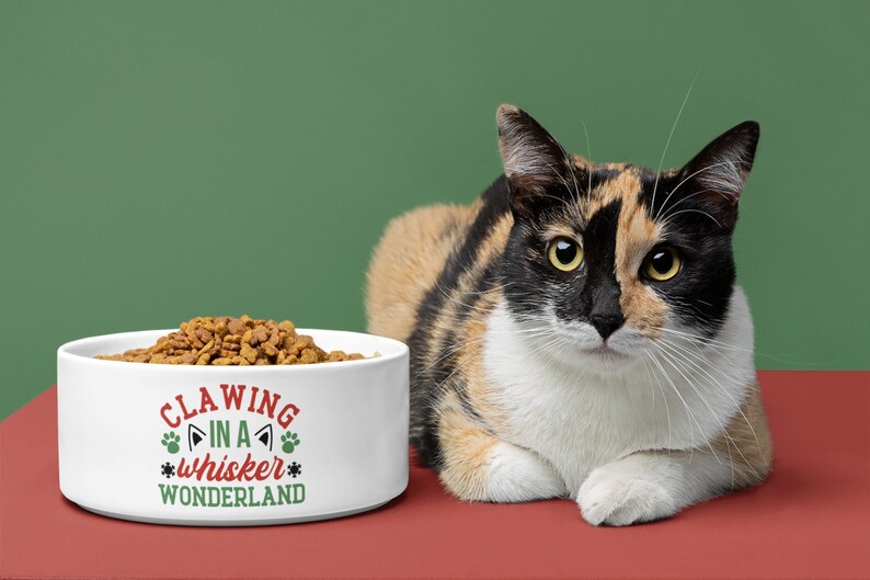 May include: White ceramic cat food bowl with the text "Clawing in a whisker wonderland" in red and green. A calico cat is sitting in front of the bowl on a red surface.