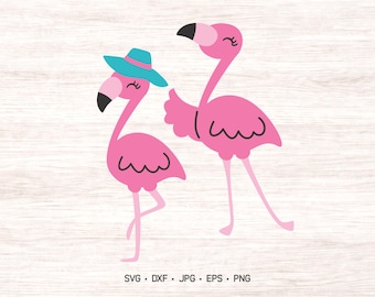 May include: A digital graphic illustration of two pink flamingos. One flamingo wears a teal sun hat. Both birds have black-tipped beaks and closed eyes with eyelashes. The text SVG, DXF, JPG, EPS, PNG is printed at the bottom.